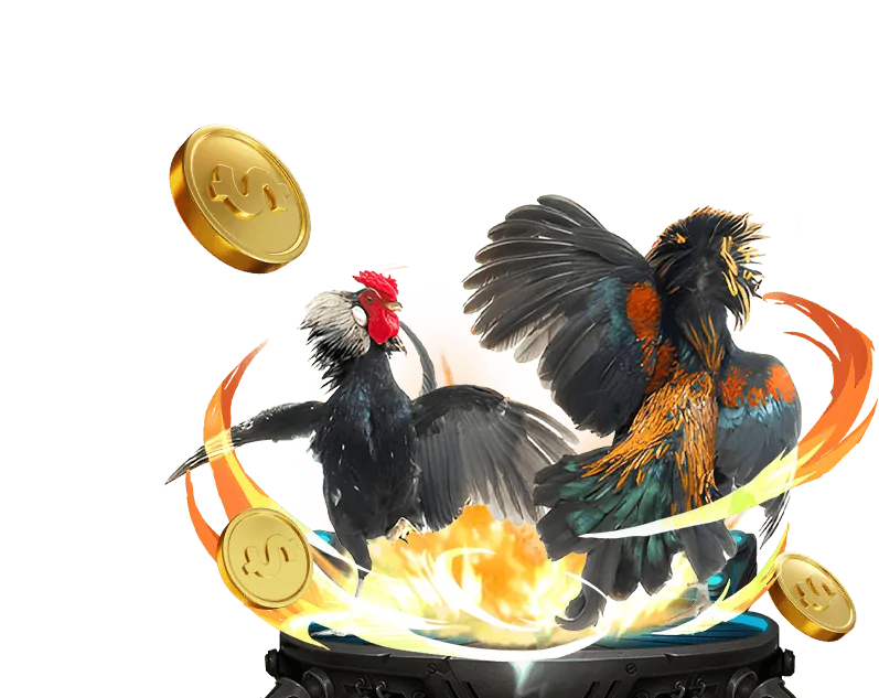 Các loại hình đá gà phổ biến tại 98win